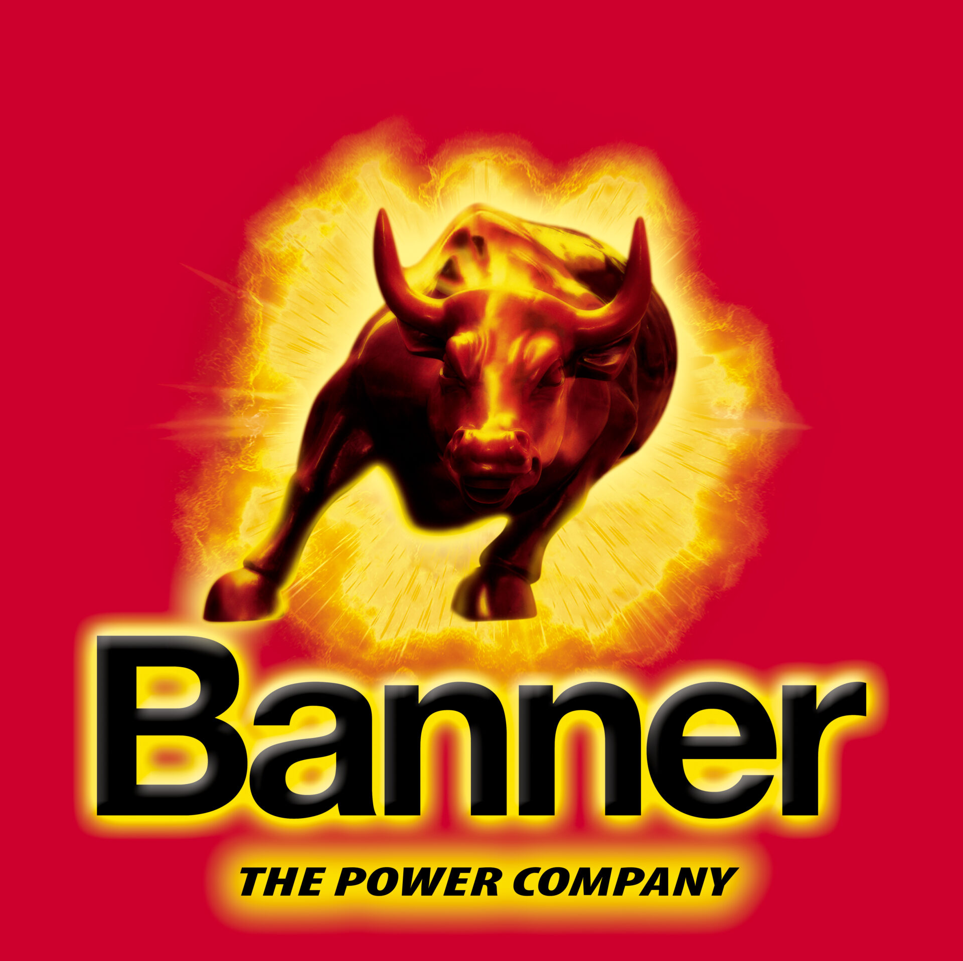 Banner Batterien Logo